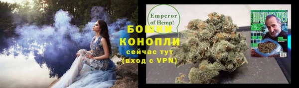 PSILOCYBIN Богданович