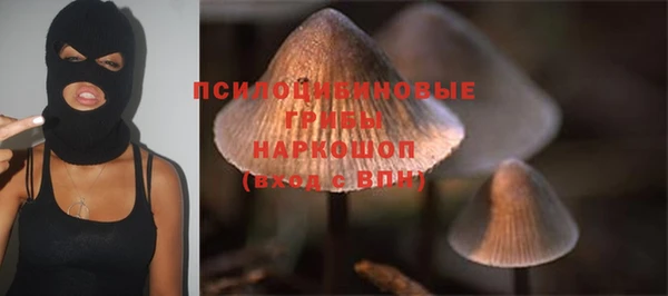 a pvp Богородицк