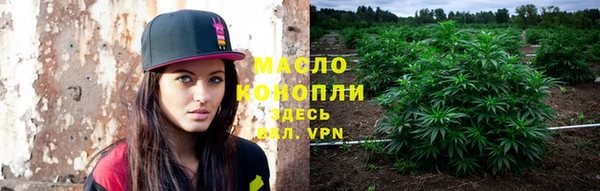 спиды Бородино