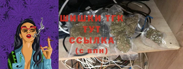 PSILOCYBIN Богданович