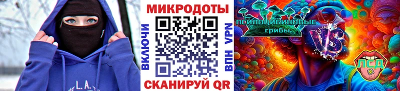 как найти наркотики  Киржач  Псилоцибиновые грибы Psilocybine cubensis 